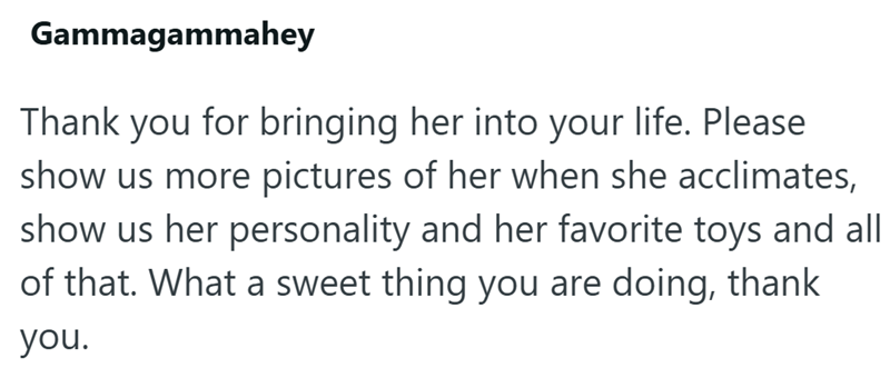 Gammagammahey Thank you for bringing her into your life. Please show us more pictures of her when she acclimates, show us her personality and her favorite toys and all of that. What a sweet thing you are doing, thank you.