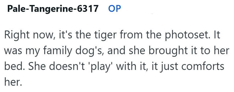Pale-Tangerine-6317 OP Right now, it's the tiger from the photoset. It was my family dog's, and she brought it to her bed. She doesn't 'play' with it, it just comforts her.