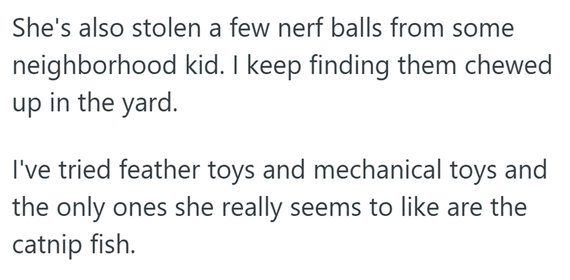 She's also stolen a few nerf balls from some neighborhood kid. I keep finding them chewed up in the yard. I've tried feather toys and mechanical toys and the only ones she really seems to like are the catnip fish.