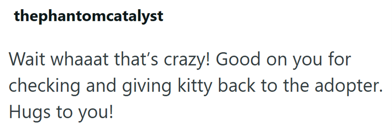 thephantomcatalyst Wait whaaat that's crazy! Good on you for checking and giving kitty back to the adopter. Hugs to you!