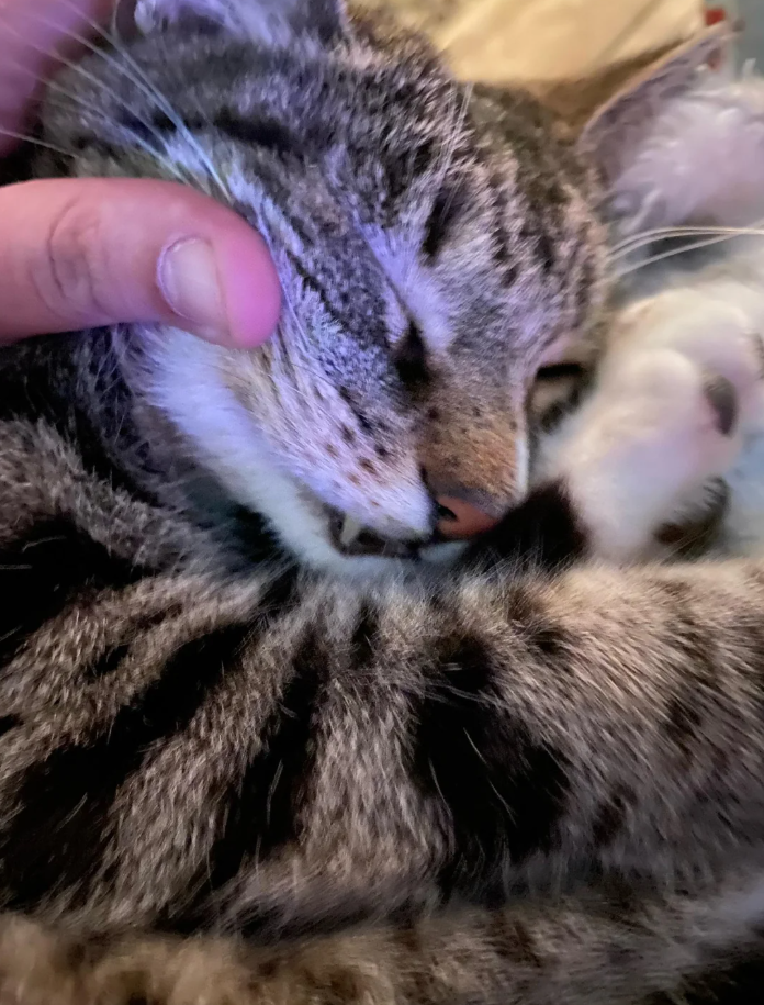 Cheezburger Image 10625665024