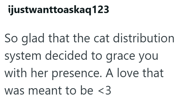ijustwanttoaskaq123 So glad that the cat distribution system decided to grace you with her presence. A love that was meant to be <3