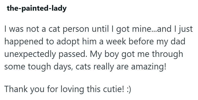 the-painted-lady I was not a cat person until I got mine...and I just happened to adopt him a week before my dad unexpectedly passed. My boy got me through some tough days, cats really are amazing! Thank you for loving this cutie! :)