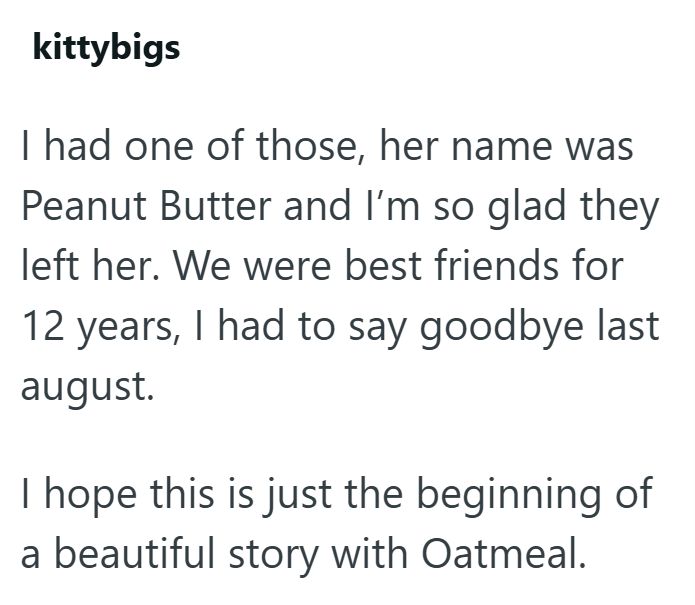 kittybigs I had one of those, her name was Peanut Butter and I'm so glad they left her. We were best friends for 12 years, I had to say goodbye last august. I hope this is just the beginning of a beautiful story with Oatmeal.