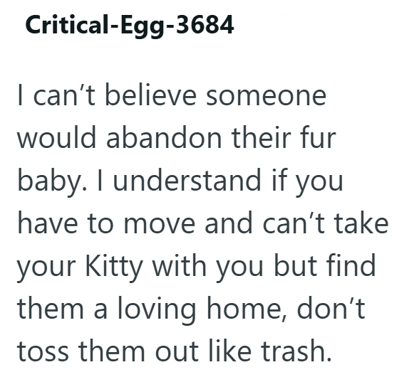 Critical-Egg-3684 I can't believe someone would abandon their fur baby. I understand if you have to move and can't take your Kitty with you but find them a loving home, don't toss them out like trash.