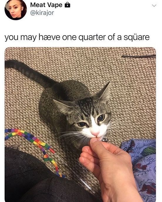 Meat Vape @kirajor you may have one quarter of a square <