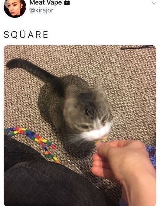 Meat Vape @kirajor SQUARE