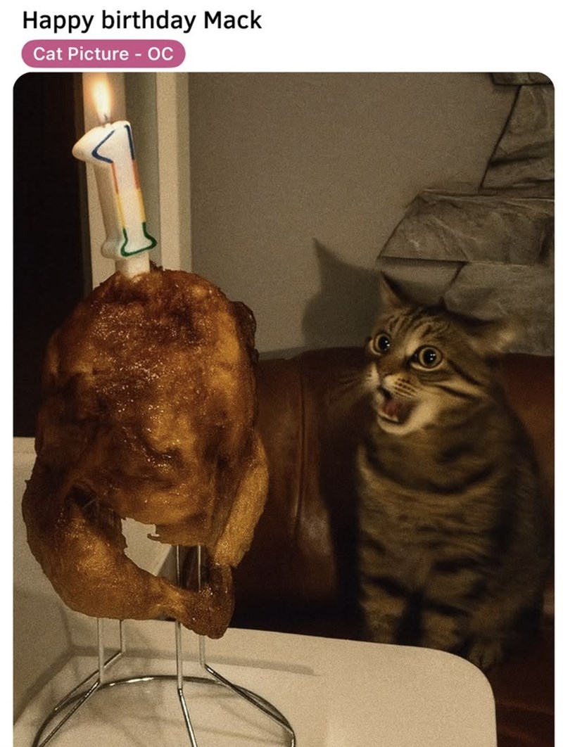 Happy birthday Mack Cat Picture - OC