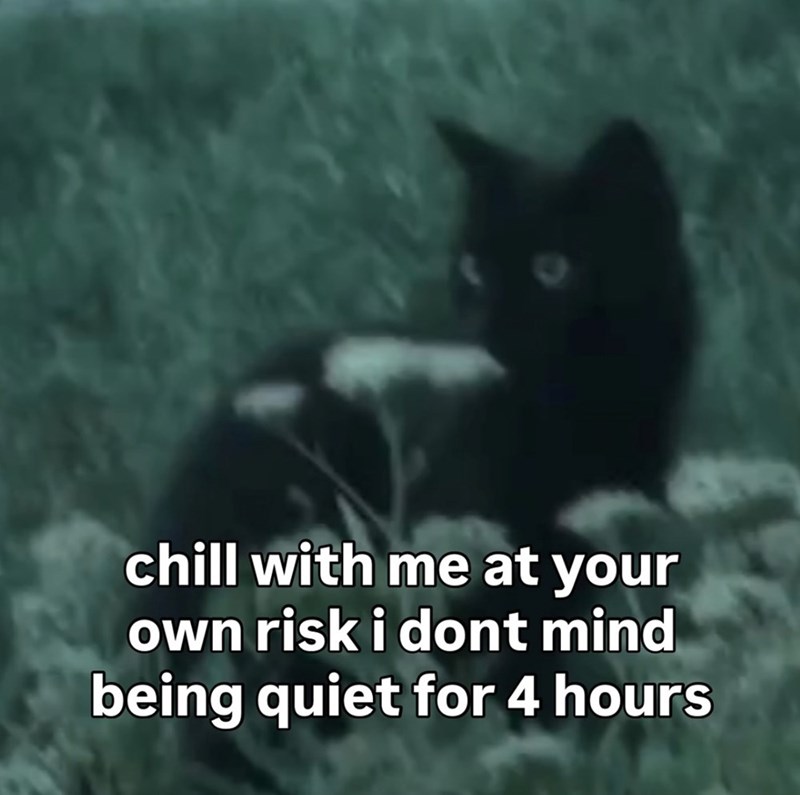 chill with me at your own risk i dont mind being quiet for 4 hours