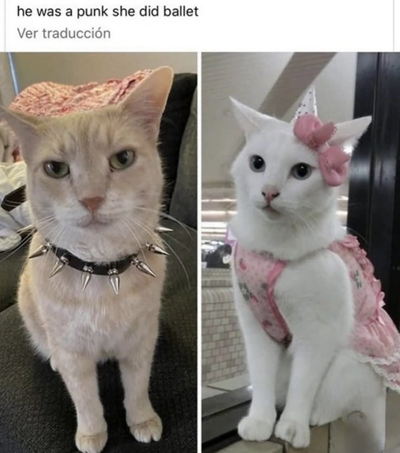 he was a punk she did ballet Ver traducción