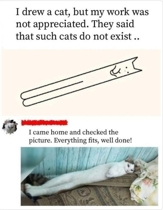 I drew a cat, but my work was not appreciated. They said that such cats do not exist.. दर I came home and checked the picture. Everything fits, well done!