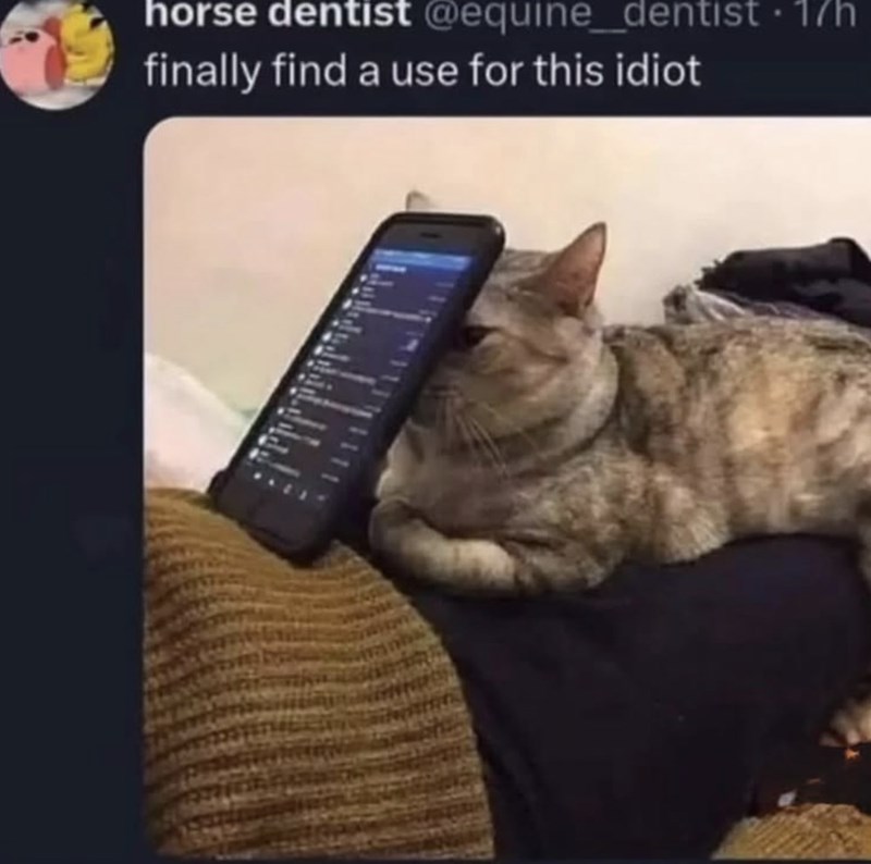 @equine_dentist. 17h horse dentist finally find a use for this idiot