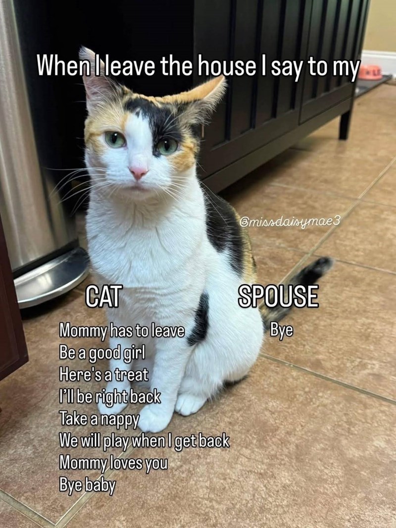 When I leave the house I say to my CAT Mommy has to leave Be a good girl Here's a treat I'll be right back Take a nappy We will play when I get back Mommy loves you Bye baby @missdaisymae3 SPOUSE Bye