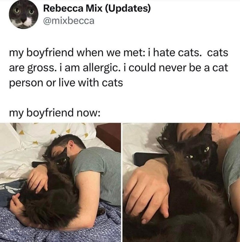 Rebecca Mix (Updates) @mixbecca my boyfriend when we met: i hate cats. cats are gross. i am allergic. i could never be a cat. person or live with cats my boyfriend now: