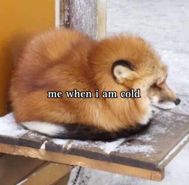 me when i am cold