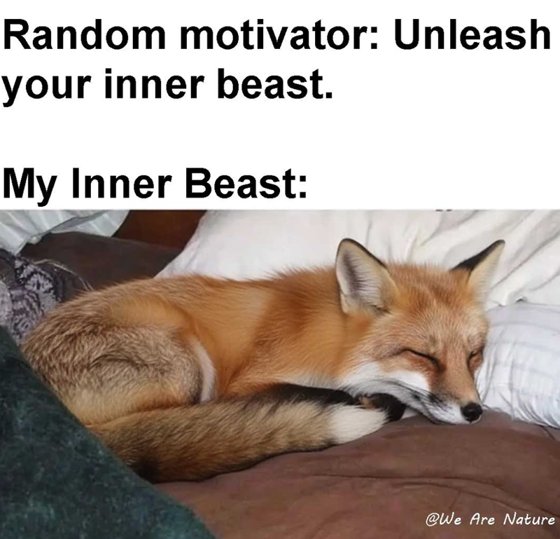 Random motivator: Unleash your inner beast. My Inner Beast: @We Are Nature