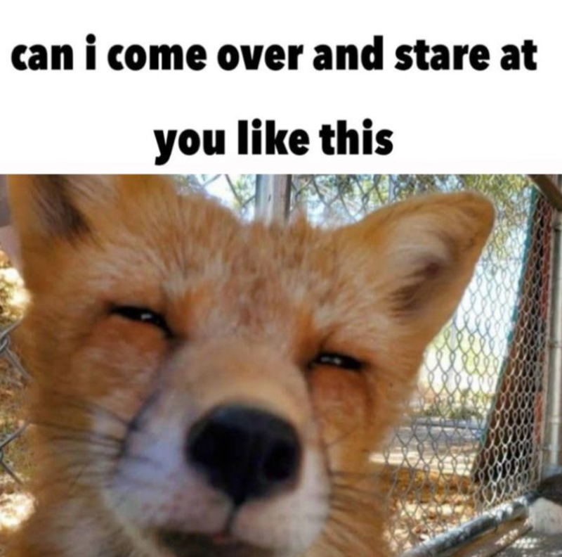 can i come over and stare at you like this