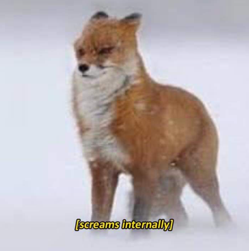 [screams internally]