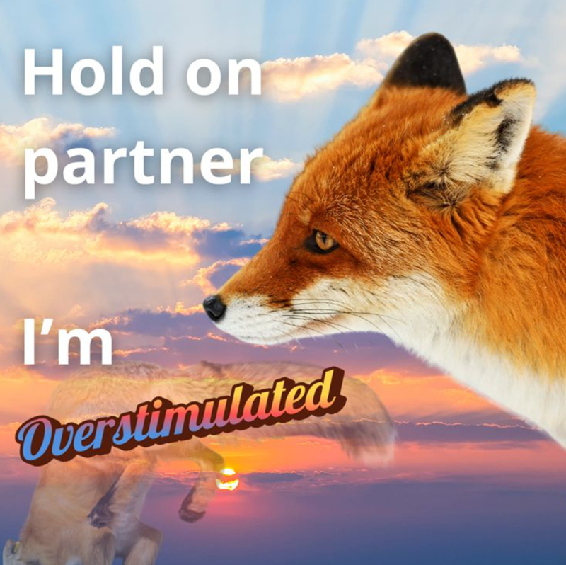 Hold on partner I'm Overstimulated