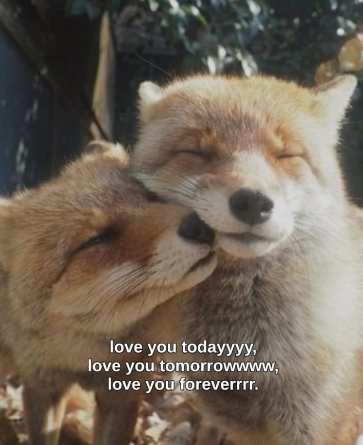 love you todayyyy, love you tomorrowwww, love you foreverrrr.