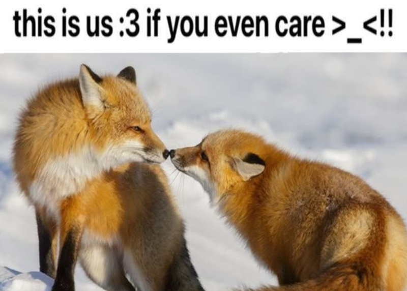 this is us :3 if you even care >_<!!