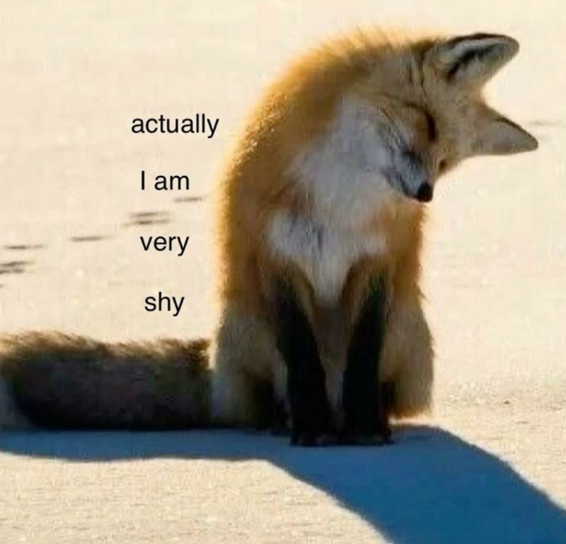 actually I am very shy