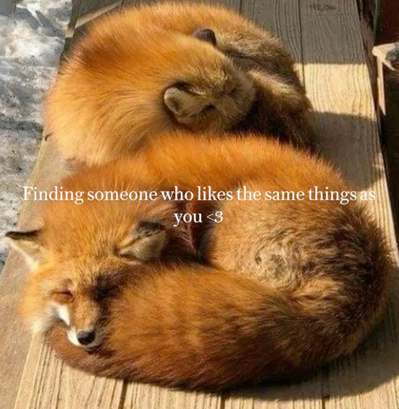 Finding someone who likes the same things a you <3