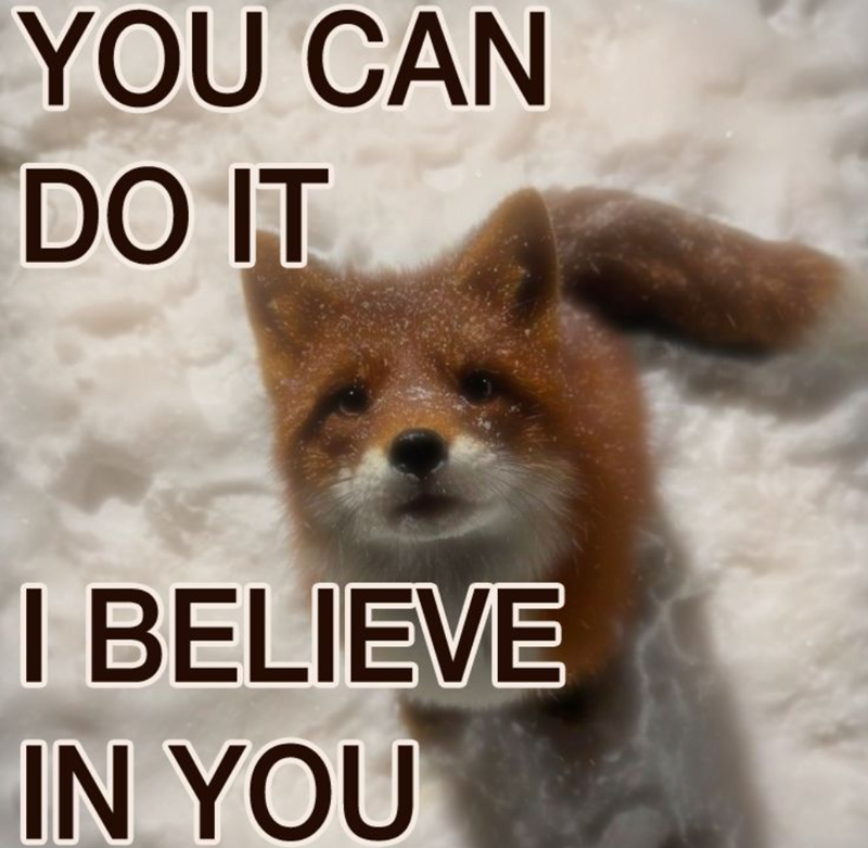 YOU CAN DO IT I BELIEVE IN YOU