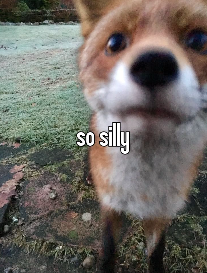SO so silly