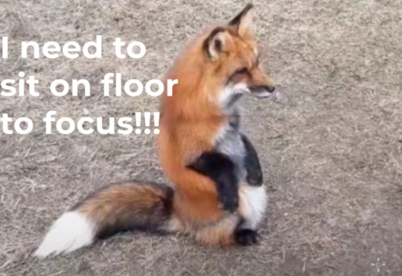 I need to sit on floor to focus!!! 101