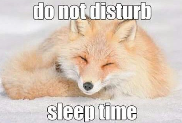do not disturb sleep time