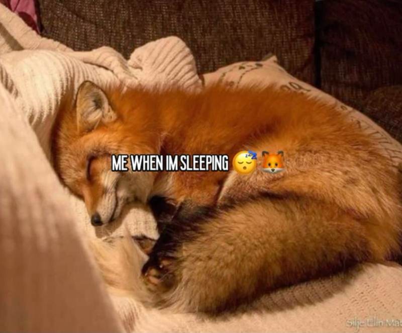 ME WHEN IM SLEEPING Sije Clin Ma