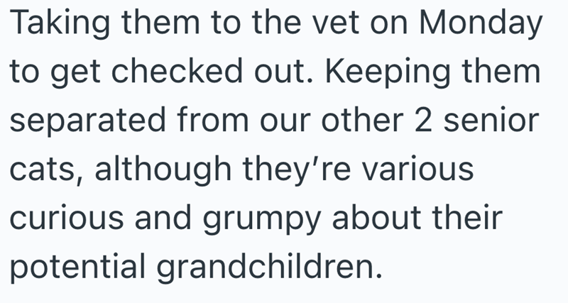 Taking them to the vet on Monday to get checked out. Keeping them separated from our other 2 senior cats, although they're various curious and grumpy about their potential grandchildren.