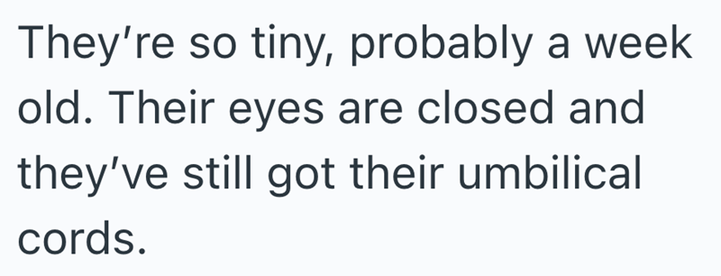 They're so tiny, probably a week old. Their eyes are closed and they've still got their umbilical cords.