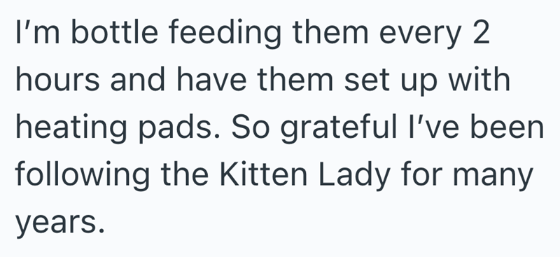 I'm bottle feeding them every 2 hours and have them set up with heating pads. So grateful I've been following the Kitten Lady for many years.