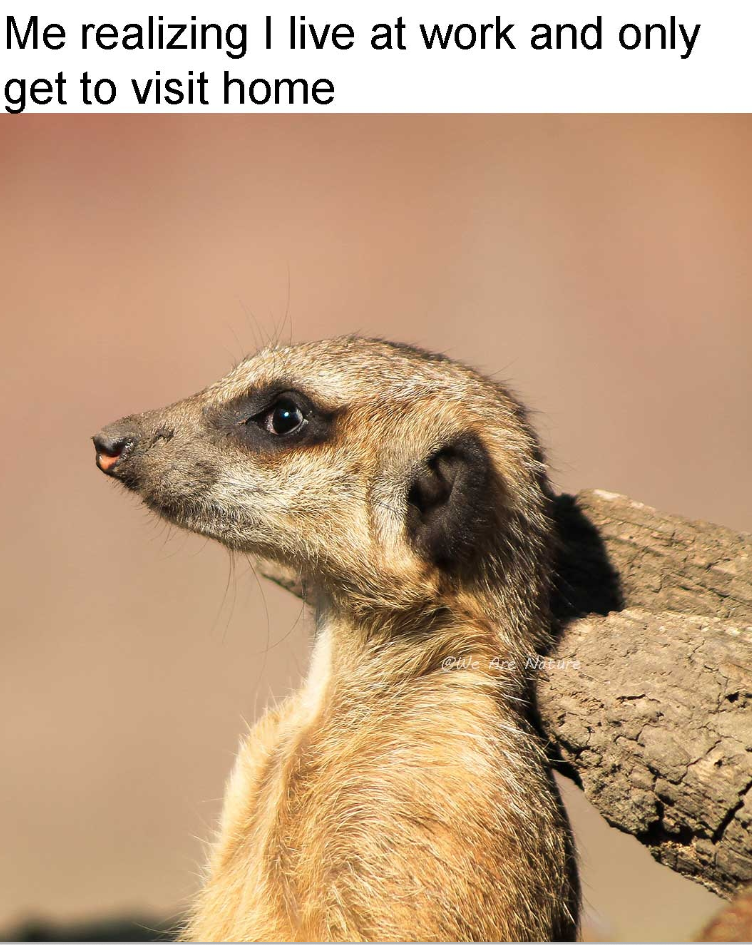 Me realizing I live at work and only get to visit home @We Are Nature