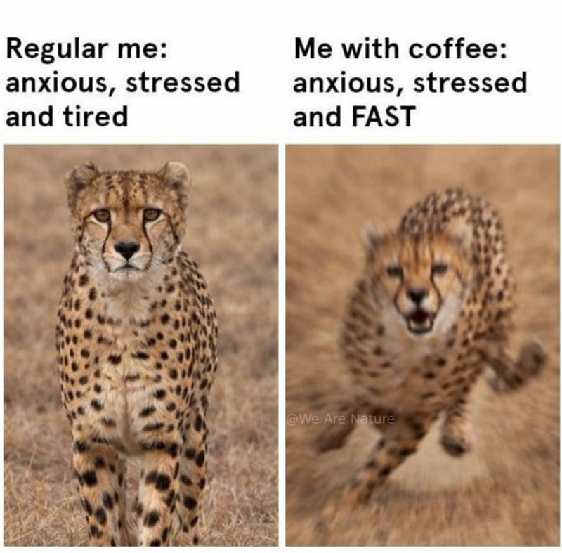 Regular me: anxious, stressed and tired Me with coffee: anxious, stressed and FAST @We Are Nature