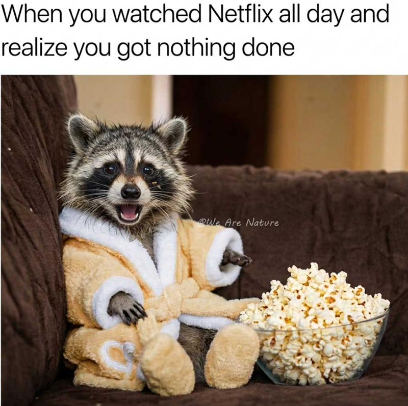 When you watched Netflix all day and realize you got nothing done We Are Nature