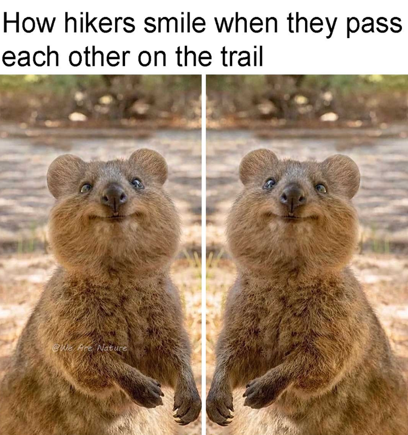 How hikers smile when they pass each other on the trail @We Are Nature