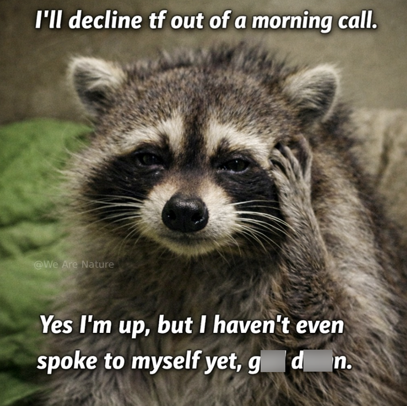 I'll decline tf out of a morning call. @We Are Nature Yes I'm up, but I haven't even spoke to myself yet, g d_n.