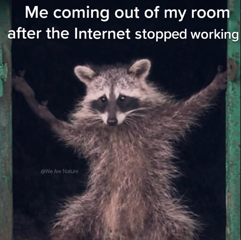 Me coming out of my room after the Internet stopped working @We Are Nature