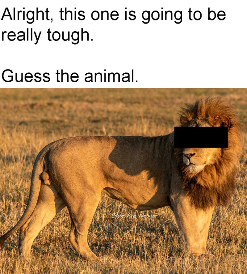 Alright, this one is going to be really tough. Guess the animal. We Are Nabure