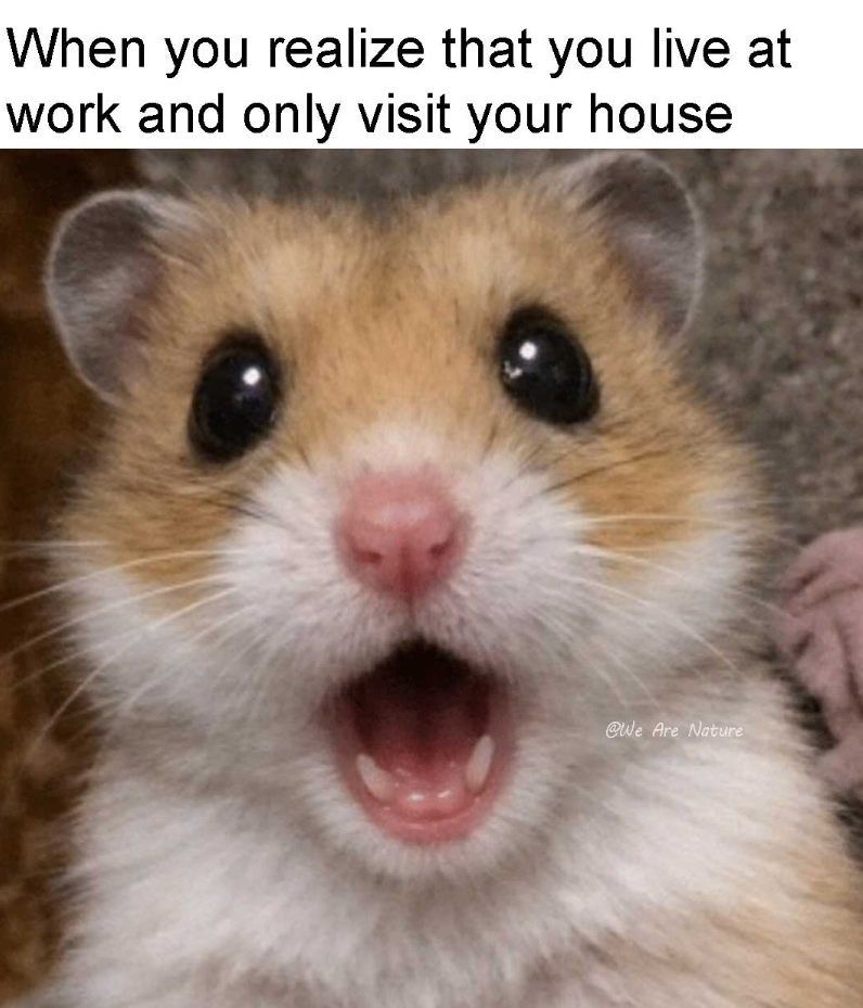 When you realize that you live at work and only visit your house @We Are Nature