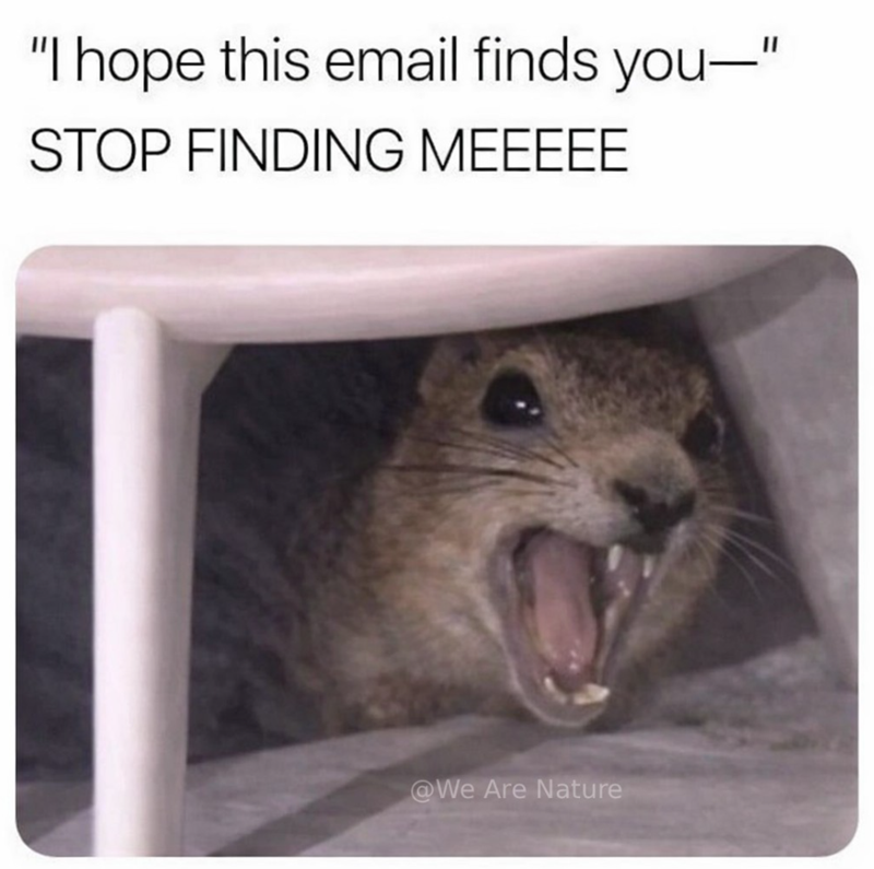 "I hope this email finds you—” STOP FINDING MEEEEE @We Are Nature