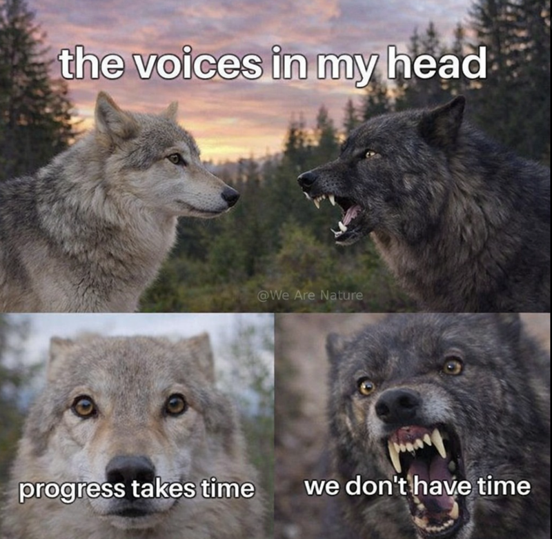 the voices in my head @We Are Nature progress takes time we don't have time