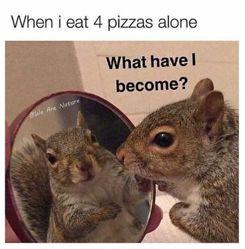 When i eat 4 pizzas alone What have I become? @We Are Nature