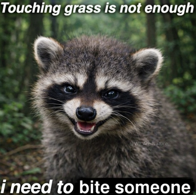 Touching grass is not enough @We Are Nature i need to bite someone