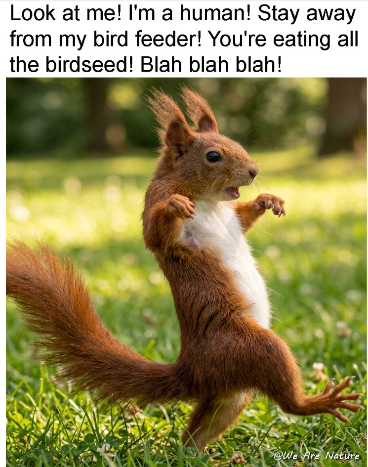 Look at me! I'm a human! Stay away from my bird feeder! You're eating all the birdseed! Blah blah blah! @We Are Nature