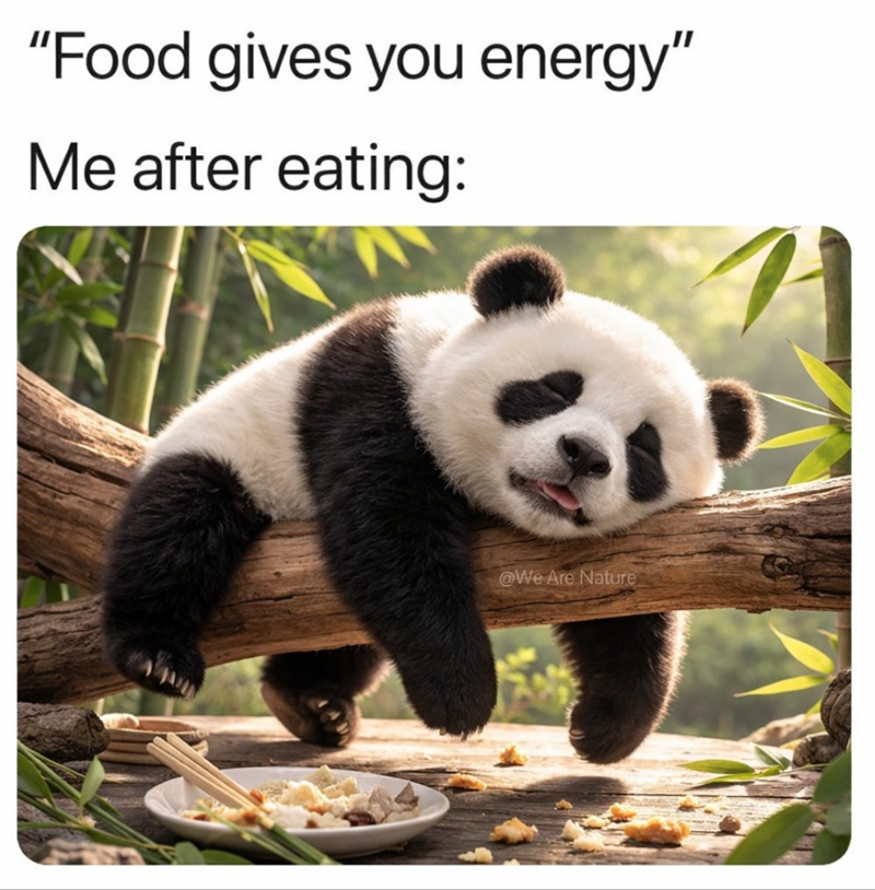 "Food gives you energy" Me after eating: @We Are Nature