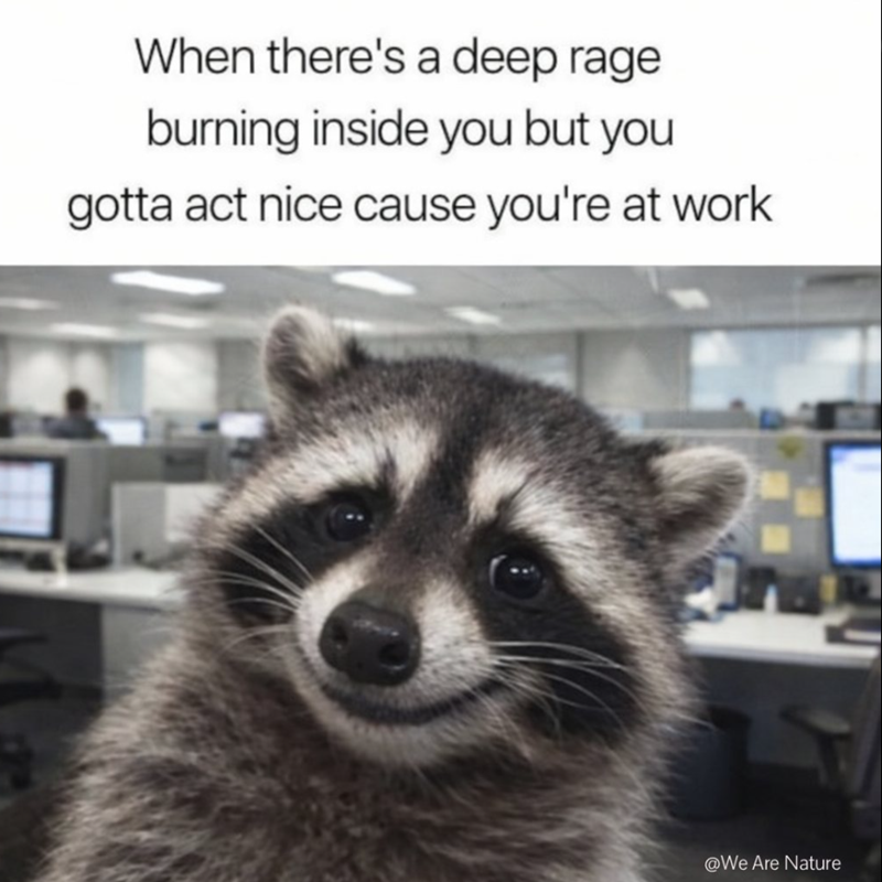 When there's a deep rage burning inside you but you gotta act nice cause you're at work @We Are Nature